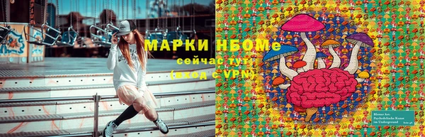 apvp Вяземский