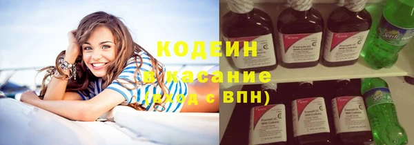 apvp Вяземский