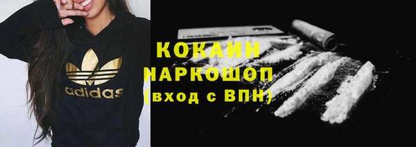 apvp Вяземский
