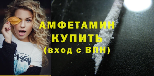 apvp Вяземский