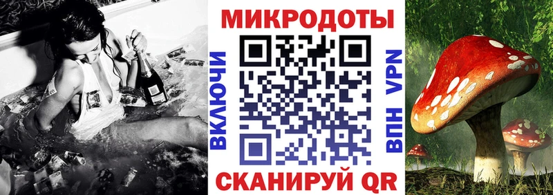 где можно купить   Злынка  нарко площадка Telegram  Псилоцибиновые грибы мицелий 