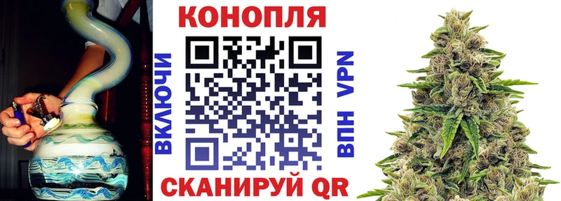 купить   Злынка  Шишки марихуана планчик 